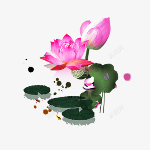 水墨荷花png免抠素材_88icon https://88icon.com 中国画 水墨画 荷花 莲花