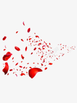 散落的花瓣素材