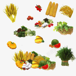 多种营养多种营养蔬菜高清图片