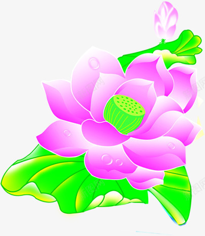 清新紫色荷花美景png免抠素材_88icon https://88icon.com 清新 紫色 美景 荷花