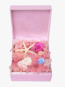 绒布背景永生花礼盒粉色方形绒布花盒高清图片