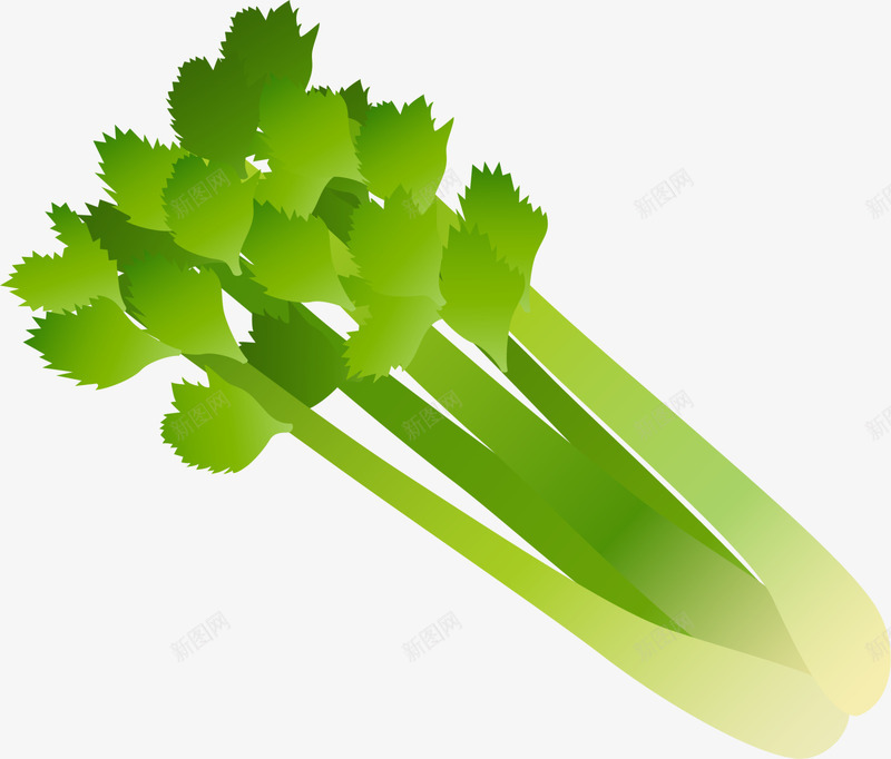 绿色蔬菜芹菜png免抠素材_88icon https://88icon.com 健康食品 水彩 白色光晕 绿色芹菜 绿色蔬菜 菜类图片 食品