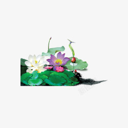 仿真荷花池素材