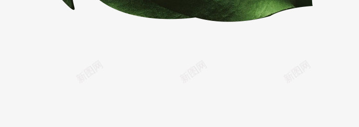 绿色手绘漂浮落叶png免抠素材_88icon https://88icon.com 漂浮 绿色 落叶