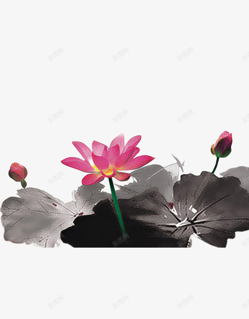 中国风水墨荷花png免抠素材_88icon https://88icon.com 中国风 残影 水墨 荷叶 荷花