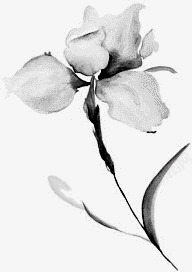古典黑白水墨花朵素材