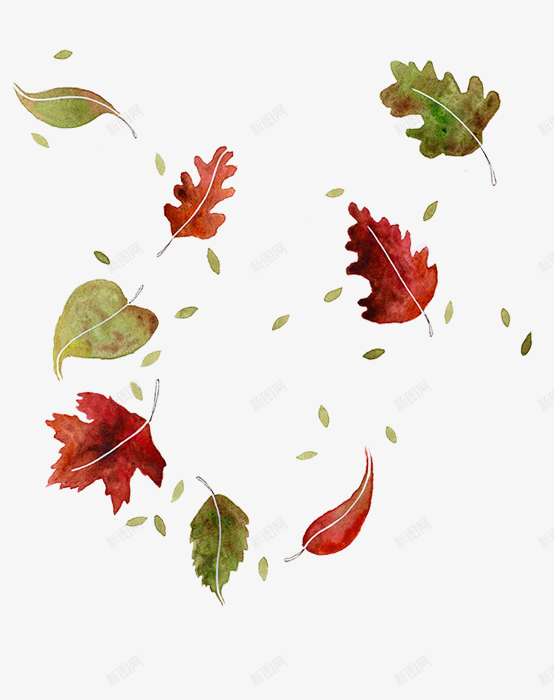 手绘水彩红色枫叶和绿色落叶png免抠素材_88icon https://88icon.com 叶子 树叶 红色 绿色 落叶 飘落