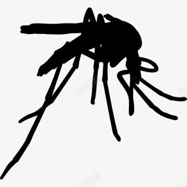 昆虫设计蚊图标图标