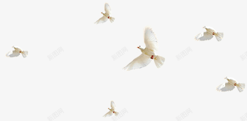 天空中飞翔的鸽子装饰png免抠素材_88icon https://88icon.com 天空 装饰 飞翔 鸽子