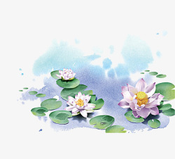 蓝莲花蓝莲花插画高清图片