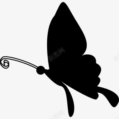 黑蝴蝶的形状从侧面图标图标