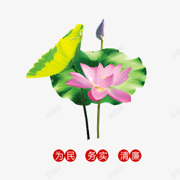 荷花图案png免抠素材_88icon https://88icon.com 为民 务实 清廉 粉色荷花 绿色荷叶 美景