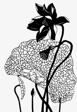黑色莲花素材