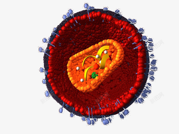 红色细胞模型png免抠素材_88icon https://88icon.com 分裂 治疗 生物 细胞体