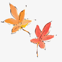 两片落叶两片秋天的水彩枫叶矢量图高清图片