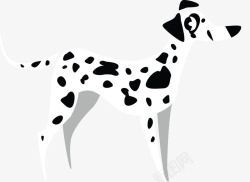 黑白花纹斑点狗形象矢量图素材