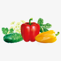 蔬菜菜绿色食品素材