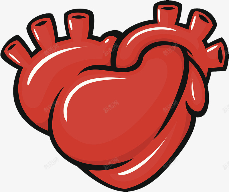 手绘心脏器官png免抠素材_88icon https://88icon.com 五脏六腑 人体内脏模型 内分泌系统 医学研究 医疗 器官移植 器官结构 心脏图案