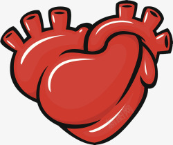 手绘心脏器官素材