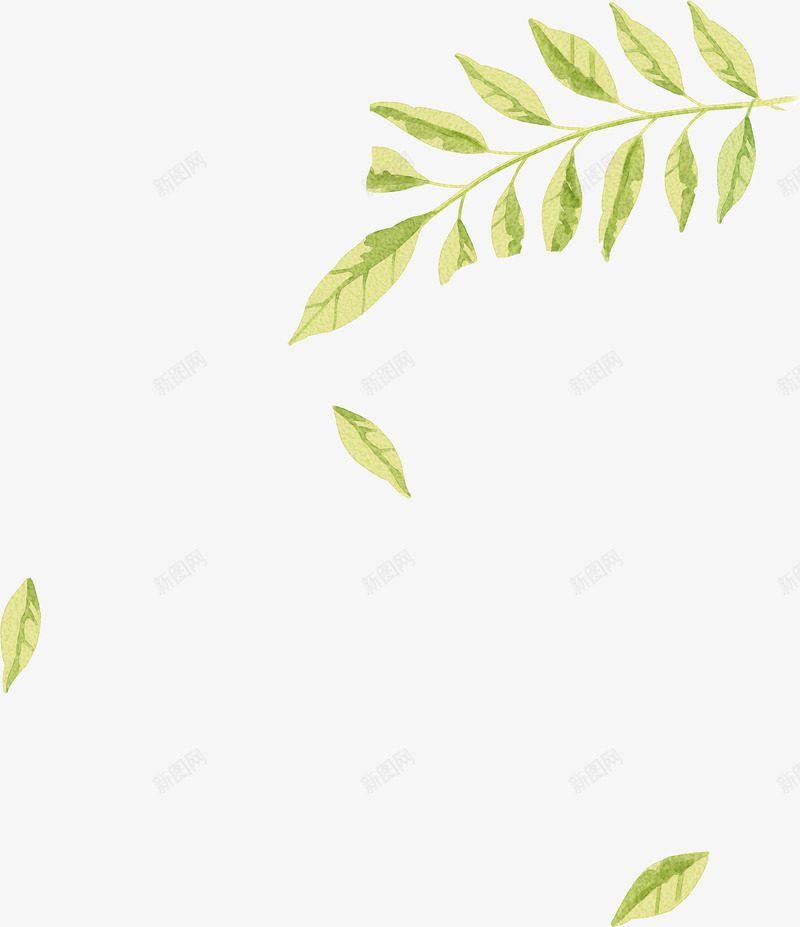 手绘绿色清新树叶落叶装饰png免抠素材_88icon https://88icon.com 树叶 清新 绿色 落叶 装饰
