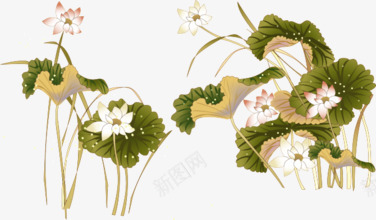 水彩花朵荷花荷叶png免抠素材_88icon https://88icon.com 水彩 花朵 荷叶 荷花