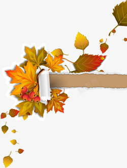 秋天树叶落叶纸张裂痕矢量图素材