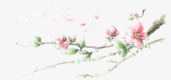 梅花盛开美景手绘素材