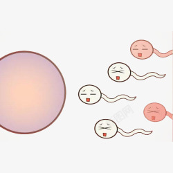 卡通精子游向卵子素材