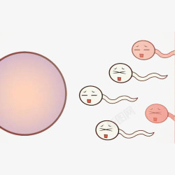 性教育卡通精子游向卵子高清图片