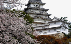 日本大阪城市风景素材