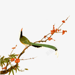 鸟在枝头素材
