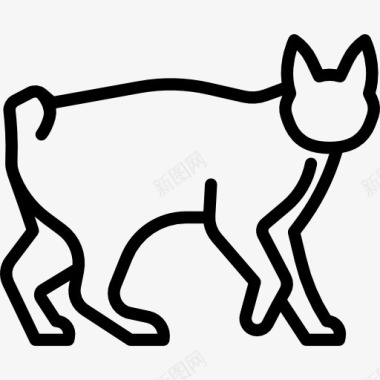 日本日本短尾猫图标图标