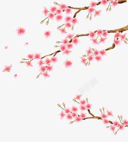 中国风粉色装饰梅花素材
