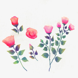 七夕情人节手绘水彩玫瑰素材