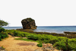 海岸线绿色大海景色高清图片