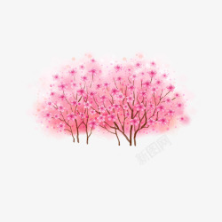 粉色梅花树梅花高清图片