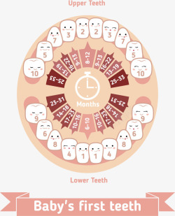 卡通婴儿牙齿牙科保护注解素材