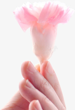 创意摄影手拿粉红色的花朵素材