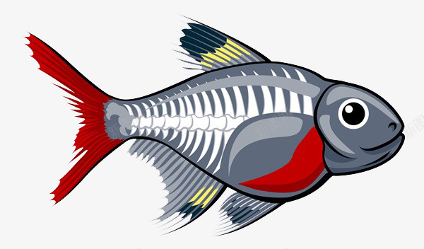 鱼儿的身体构造png免抠素材_88icon https://88icon.com 卡通手绘 卡通鱼骨头 教育 科普 装饰 食物