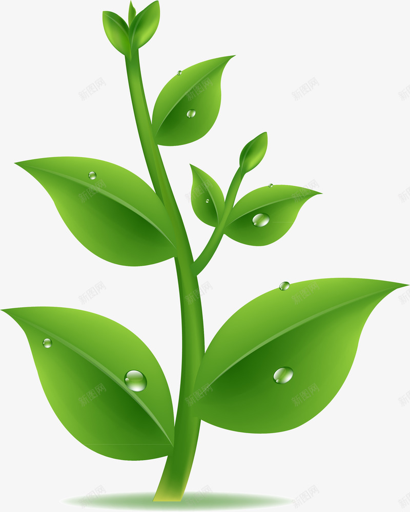 绿色植物png免抠素材_88icon https://88icon.com 叶子 大树 小树 成长过程 树 树木 树苗 植物 水珠 绿色 绿色植物 茁壮成长 露珠