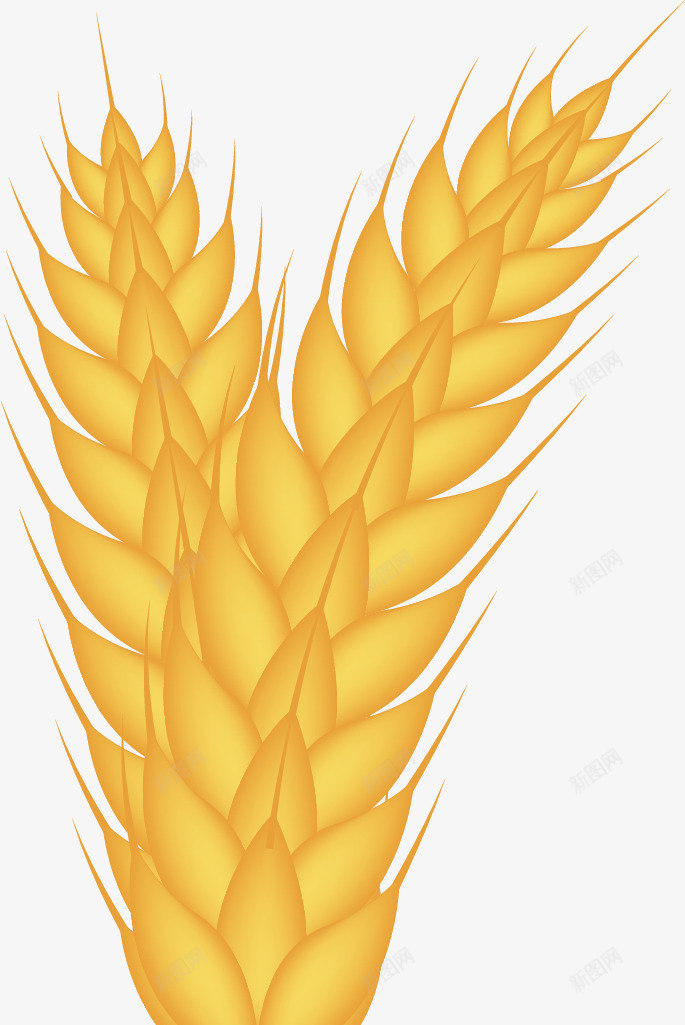 黄色的麦子矢量图ai免抠素材_88icon https://88icon.com 卡通手绘 抽象 样图 稻谷 食物 麦子 矢量图