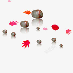 石头枫叶装饰图案素材