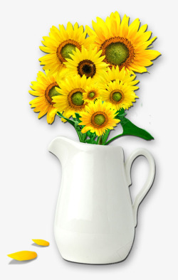 花瓶里的向日葵透明素材