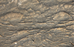 石头纹理砂石岩石横切面素材