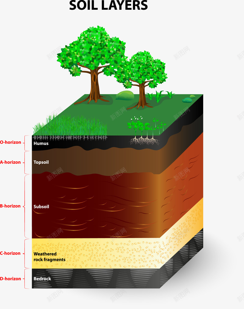 土壤层分析矢量图eps免抠素材_88icon https://88icon.com 土壤层 学习 教育 装饰 矢量图