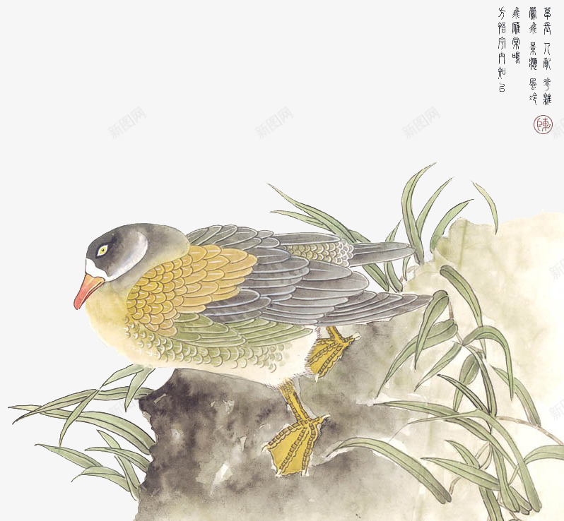 中国画花鸟png免抠素材_88icon https://88icon.com 中国画花鸟 小鸟 石头 草丛