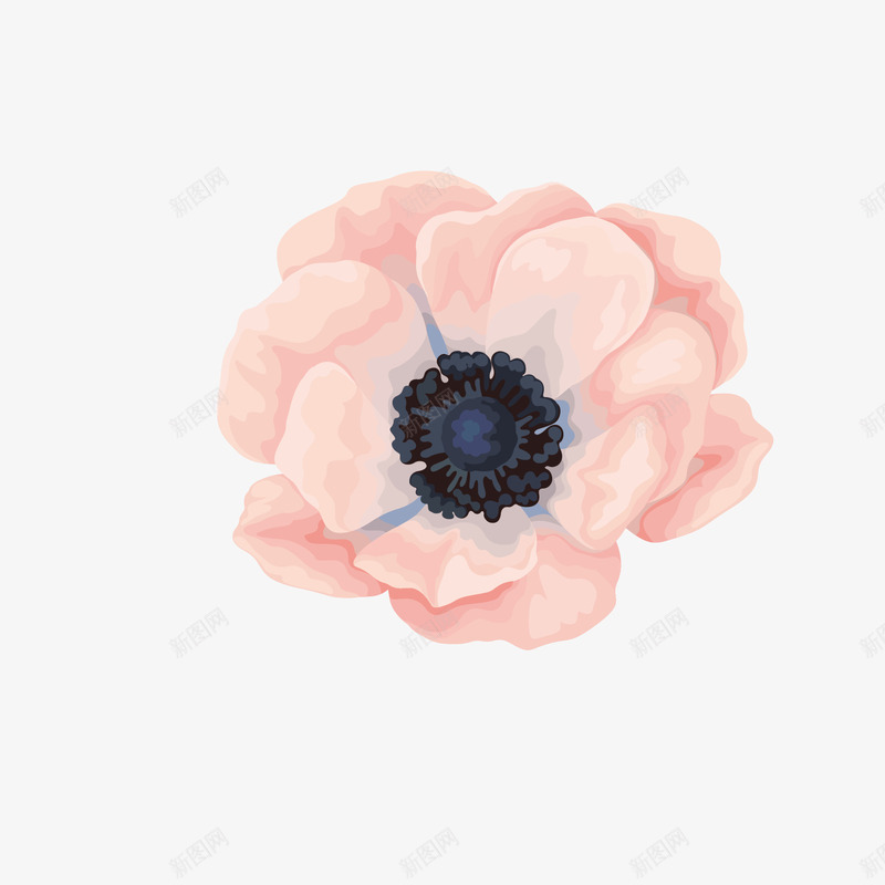 红色大朵花唯美手绘png免抠素材_88icon https://88icon.com 卡通 小清新 简约 粉红色 花芯 黑色花蕊