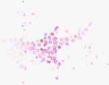 粉色花瓣分散七夕情人节海报背景素材