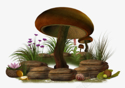 水塘石头蘑菇高清图片