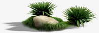绿色针叶植物石头素材